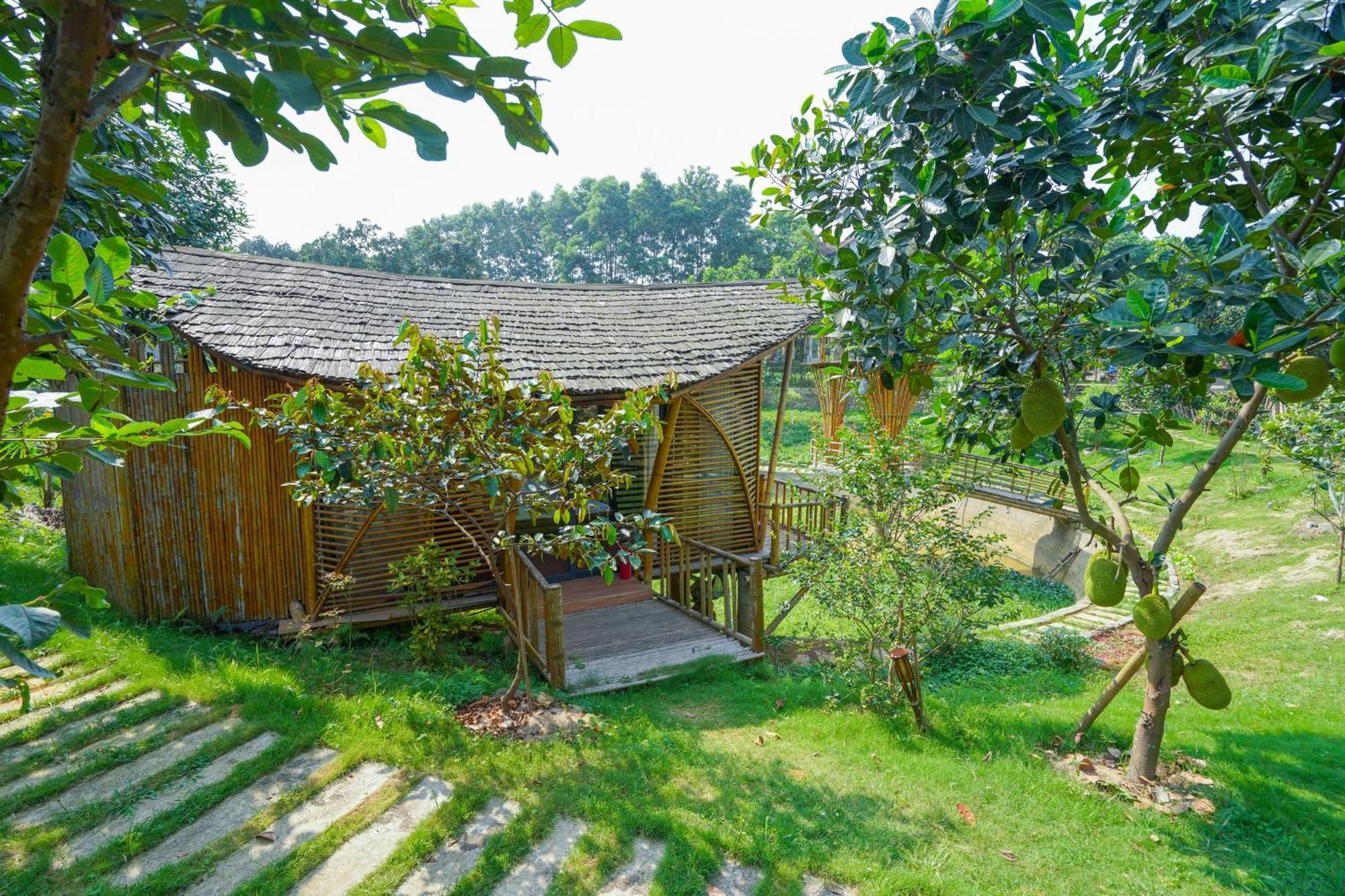 Little Bee House Hotel Trai Vang Ngoại thất bức ảnh