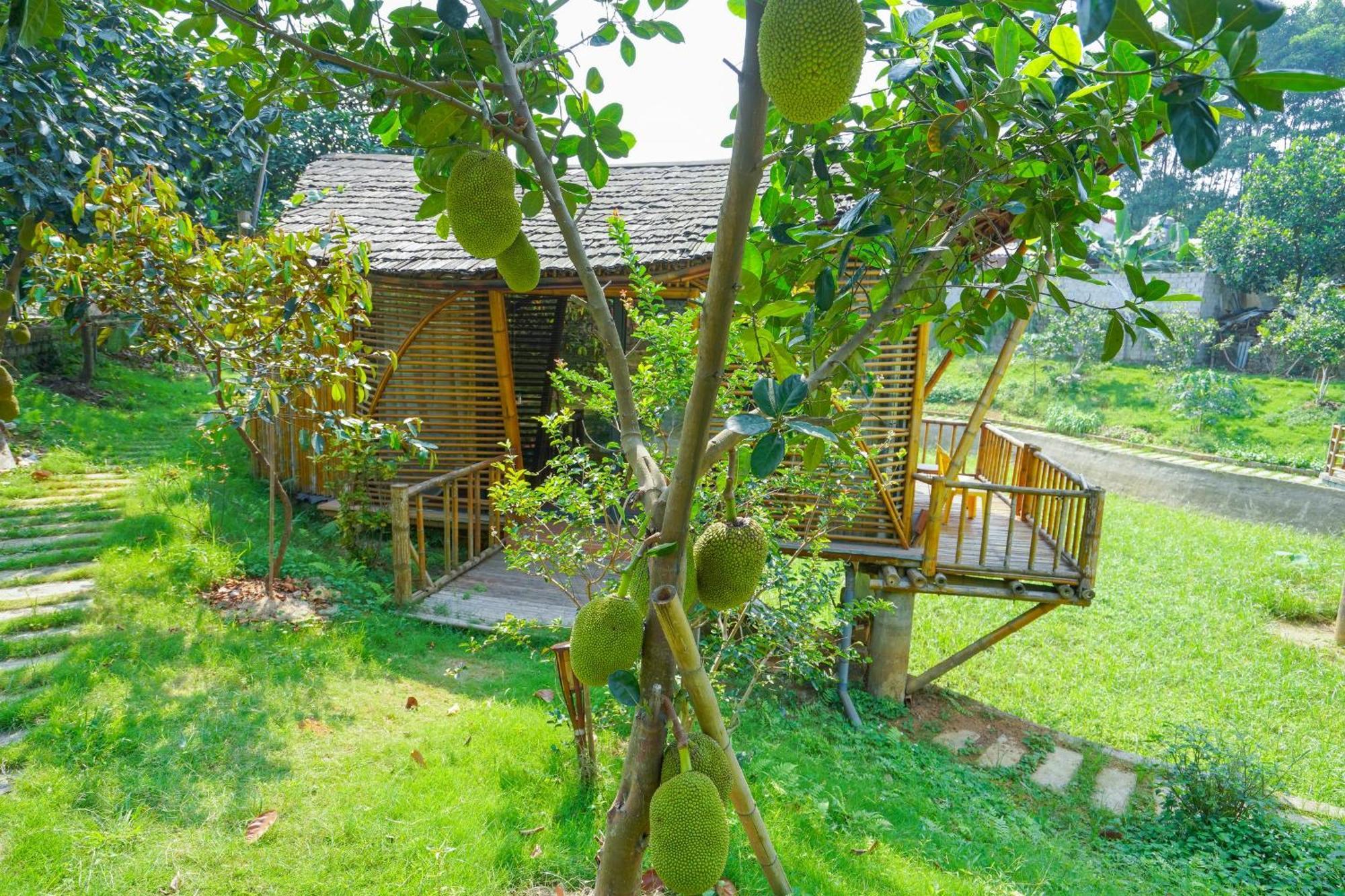 Little Bee House Hotel Trai Vang Ngoại thất bức ảnh